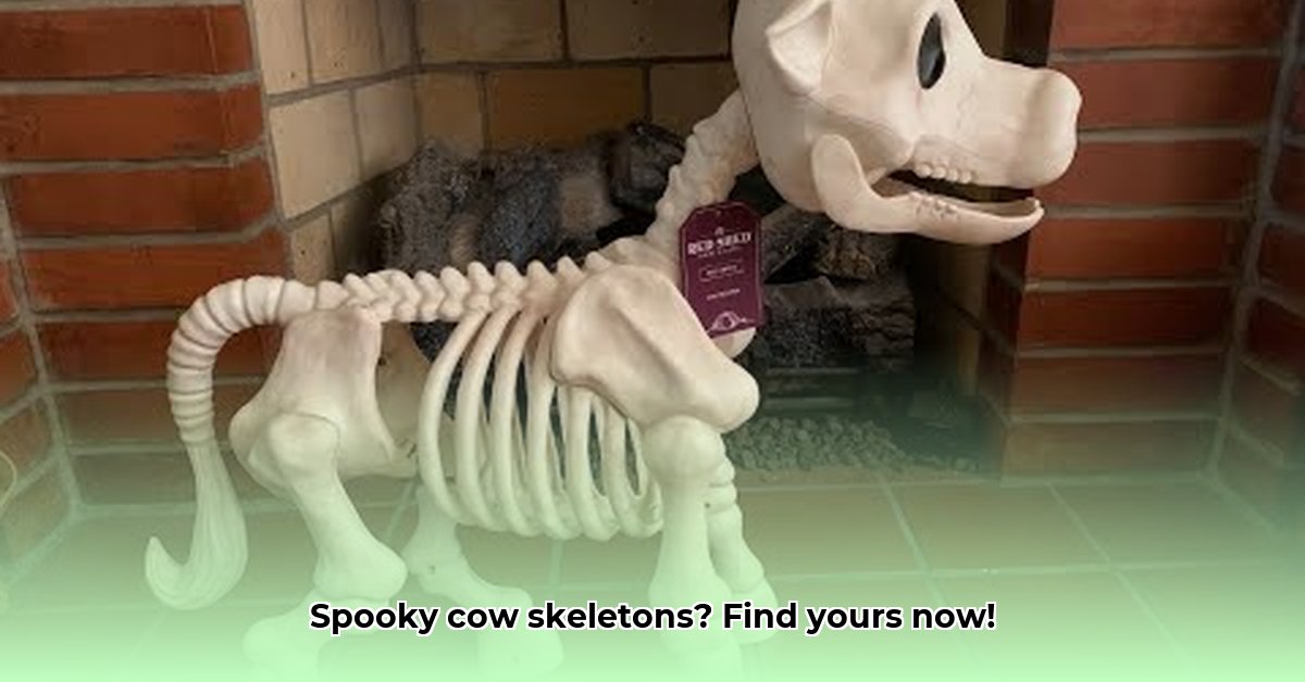 cow-skeleton-halloween-tractor-supply